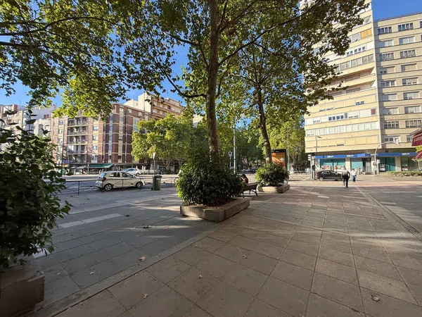 Piso en Paseo de Zorrilla, 45, Pº Zorrilla - Plaza de Toros, Pº Zorrilla - Plaza de Toros - Foto 13