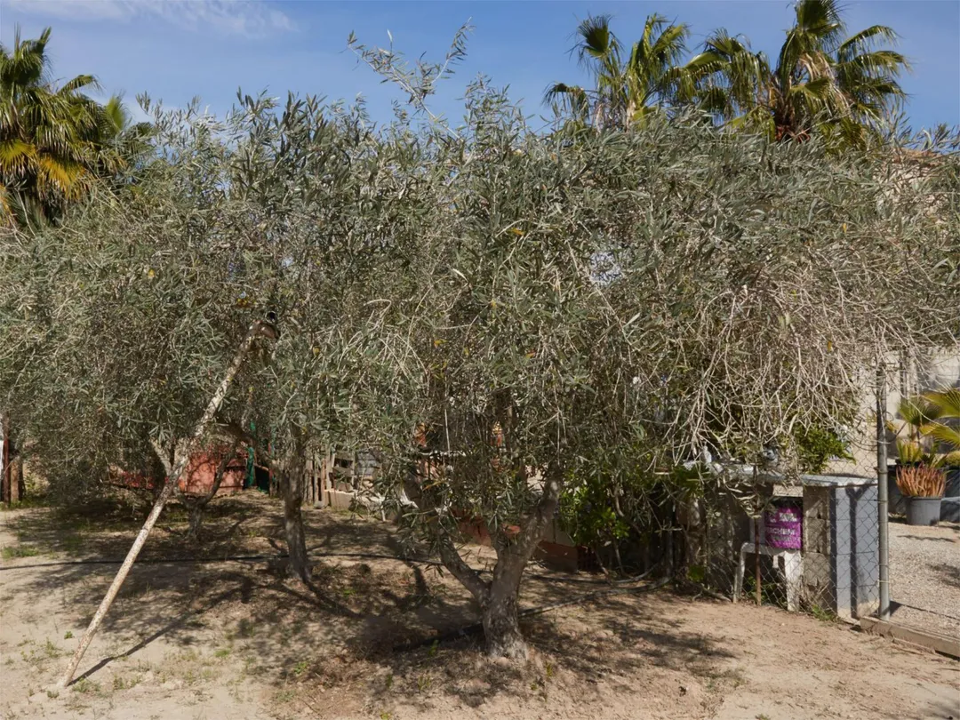 Chalet en  Partida Daimes 216 - Foto 78