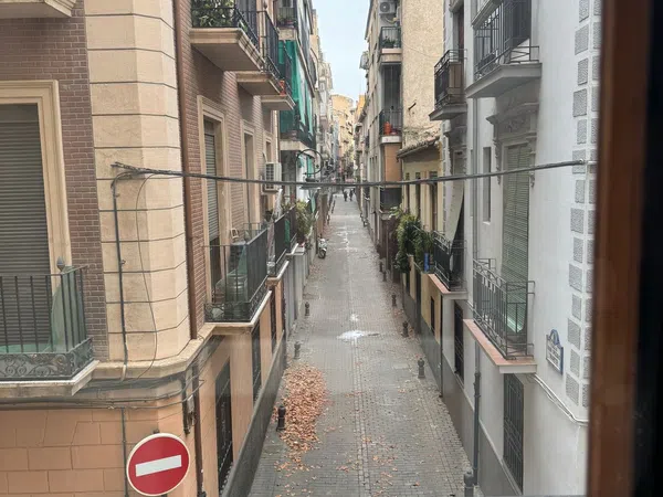 Piso en Calle Maestro Alonso, 4, Carrera de la Virgen - Paseo del Salón - Foto 15