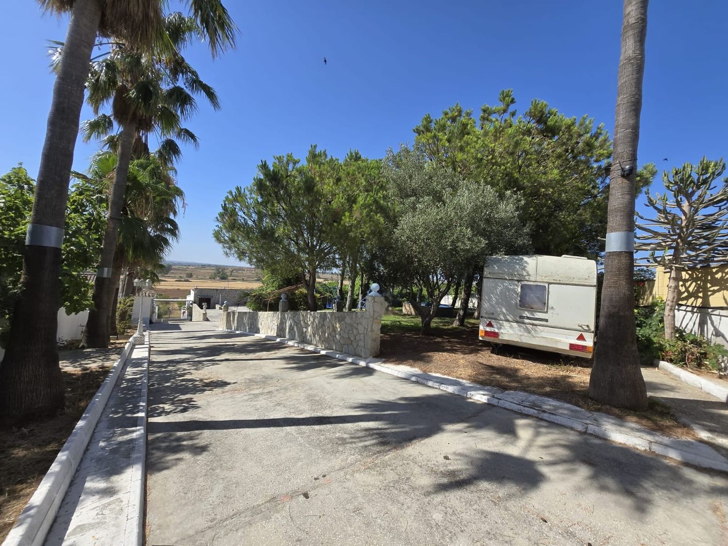 Cortijo en Diseminado Pago Victoria, 207 - Foto 14