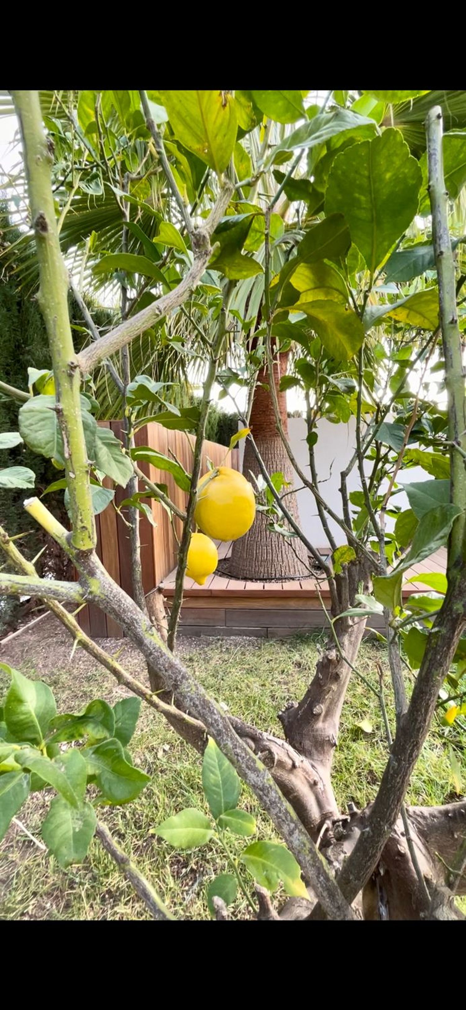 Chalet pareado en calle Lisboa, 5 - Foto 8