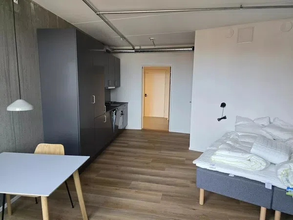 Estudio en calle Hermosilla, 66