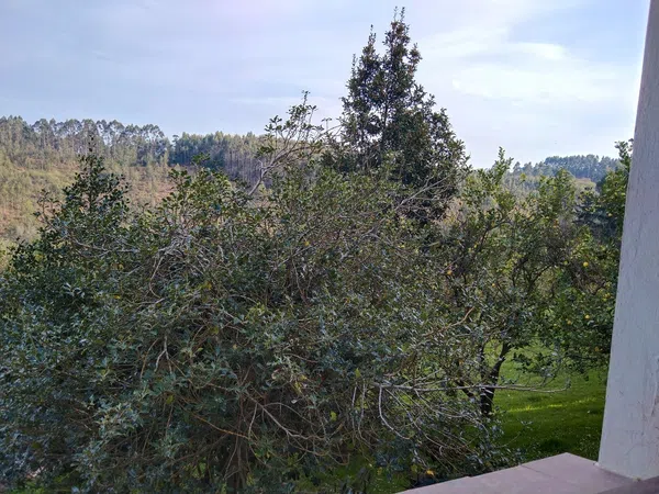 Chalet pareado en Camín de el Biruleo, 1252, Bocines - Nembro - Cardo, Bocines - Nembro - Cardo - Foto 20