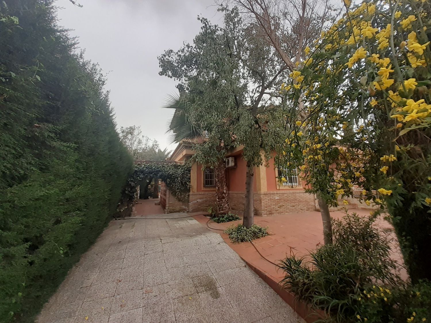Casa o chalet independiente en Tablero - Foto 4