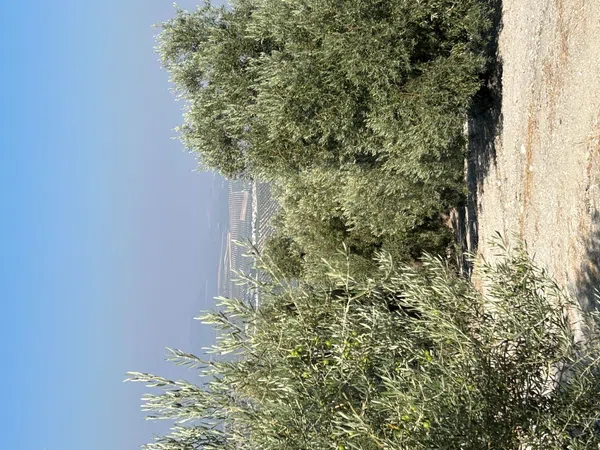 Cortijo en Cortijo en Diseminado Albaicin, 63 - Foto 20