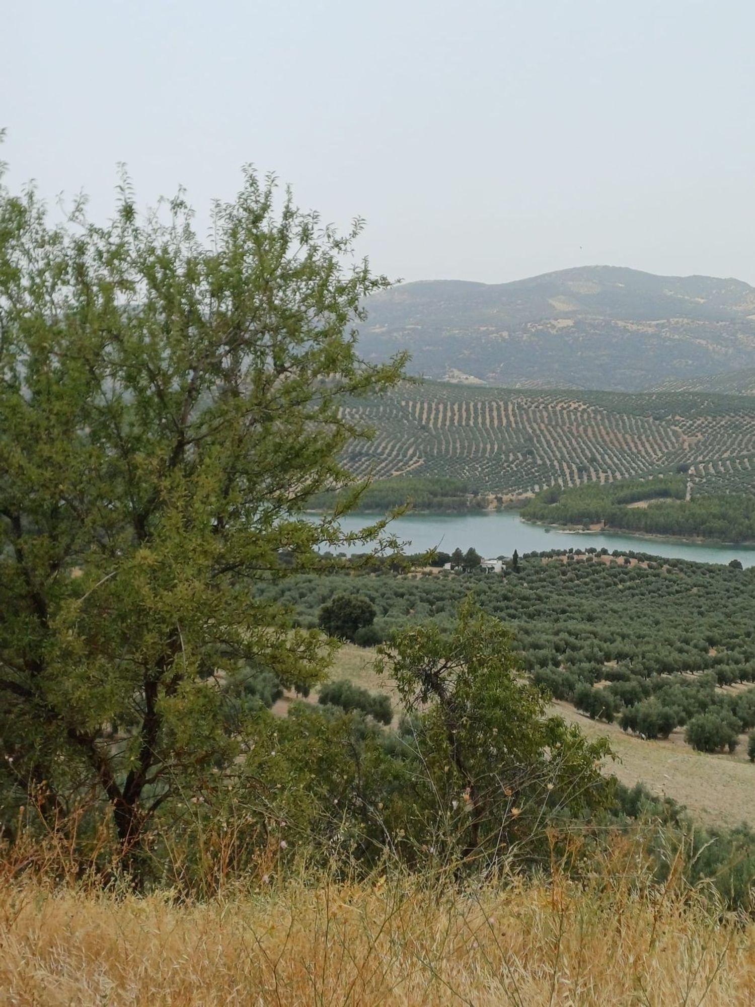 Cortijo en Cortijo en Unnamed Road s/n - Foto 12