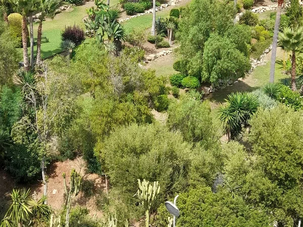 Piso en Calle Alpandeire, 11, La Concha-Resina Golf - Foto 32