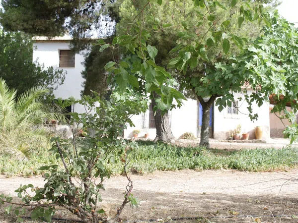 Casa de pueblo en Calle La Serreta, 43 - Foto 3