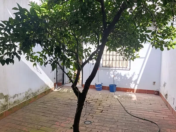 Chalet adosado en Calle los Molinos s/n - Foto 20