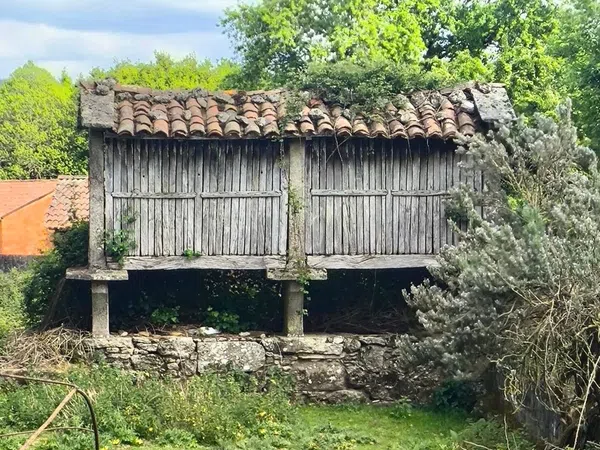 Casa de pueblo en Penela, 10 - Foto 3