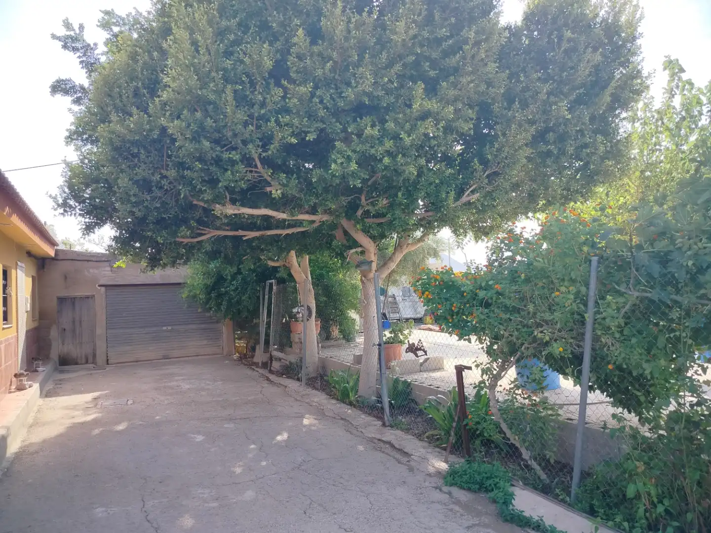 Casa adosada en  Carretera Orilla del Azarbe 164 - Foto 6