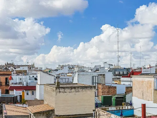 Piso en Callejón Azofaifo, 9, Santa Cruz - Alfalfa - Foto 15