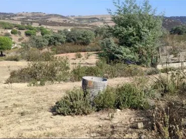 Chalet en campo - Foto 7
