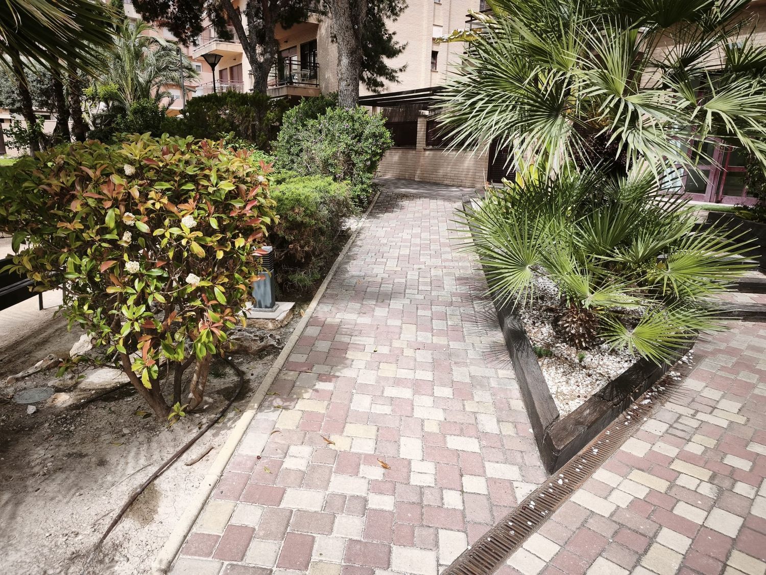 Piso en Calle del Pintor Manuel Baeza Gómez, 40, Centro, San Juan de Alicante - Foto 29