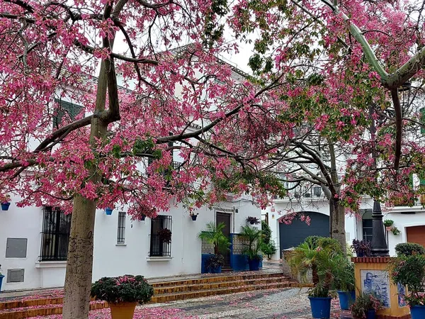 Chalet adosado en pozo Prado, 7 - Foto 9