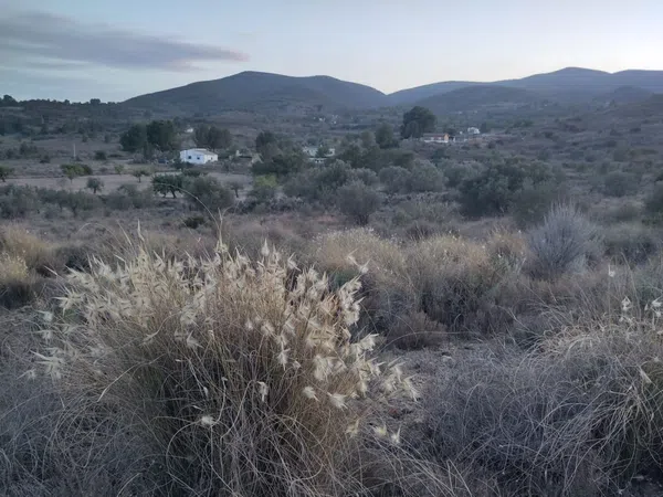 Finca rústica en Plaza Numero 3, 148, Las Pedrizas, Las Pedrizas - Foto 30