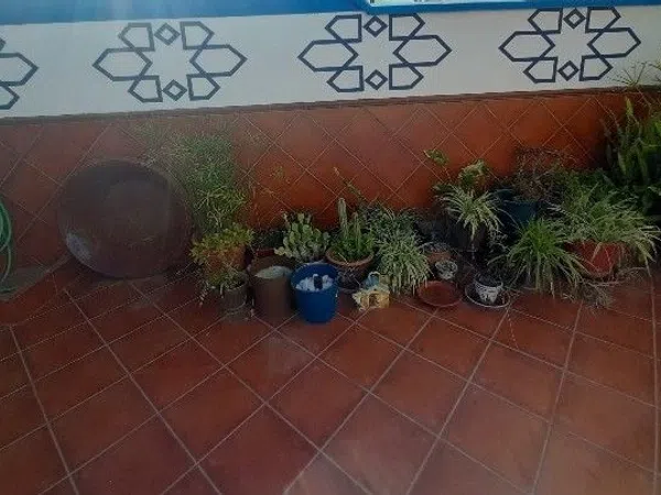 Chalet adosado en Pasaje de Gines, 9 - Foto 3