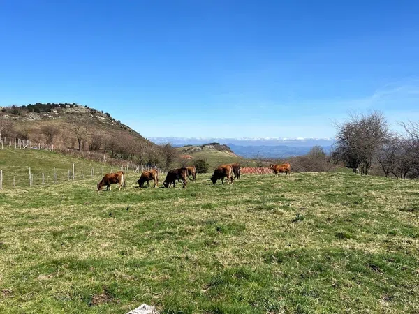 Casa rural en s/n s/n - Foto 8