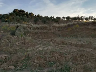 Finca rústica en - Foto 1
