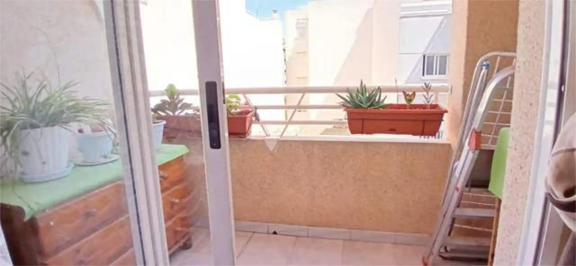 Piso en Torrevieja - Foto 2