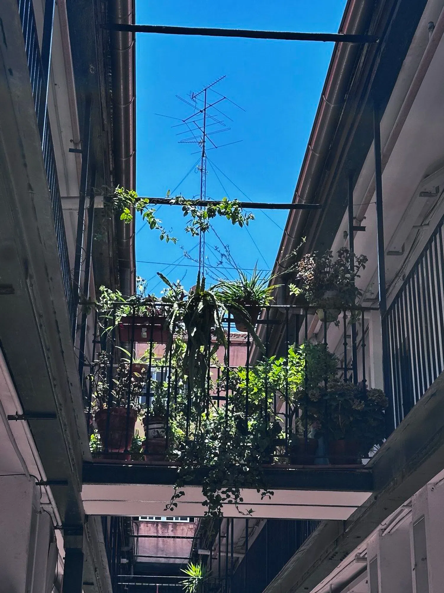 Estudio en calle de García de Paredes, 11 - Foto 19