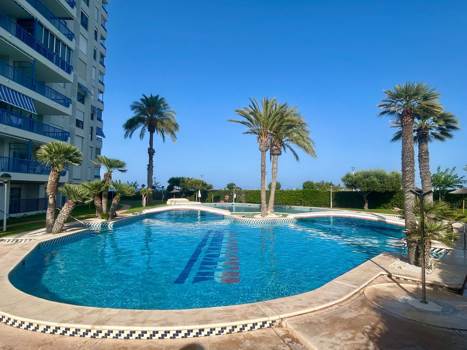Piso en Calle de Sant Vicent, 113, Campello Playa, Campello Playa - Foto 12