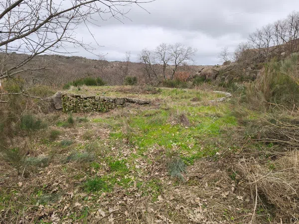 Finca rústica en Poblado los Arroyos de Abajo, 39 poligonoparcela - Foto 31