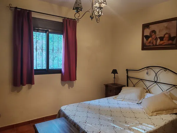Casa o chalet independiente en venta en Llanos De Purla, 16 - Foto 18
