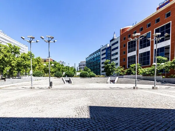 Estudio en Calle de Sánchez Pacheco, 16, Ciudad Jardín - Foto 19