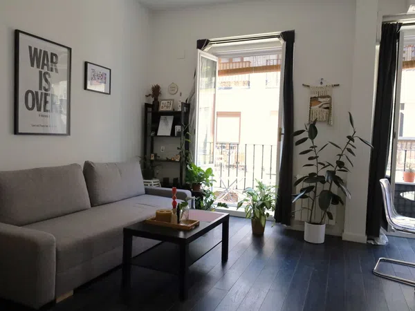 Piso en Calle de la Sombrerería, 8, Lavapiés-Embajadores - Foto 1