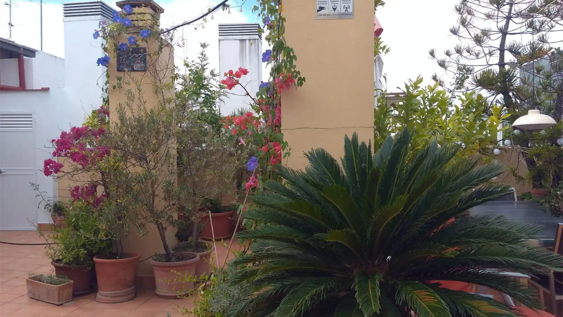 Piso en  Calle Rastro 22 - Foto 4