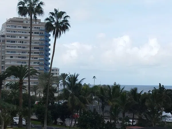 Estudio en Avenida de Cristobal Colón, 26 - Foto 20