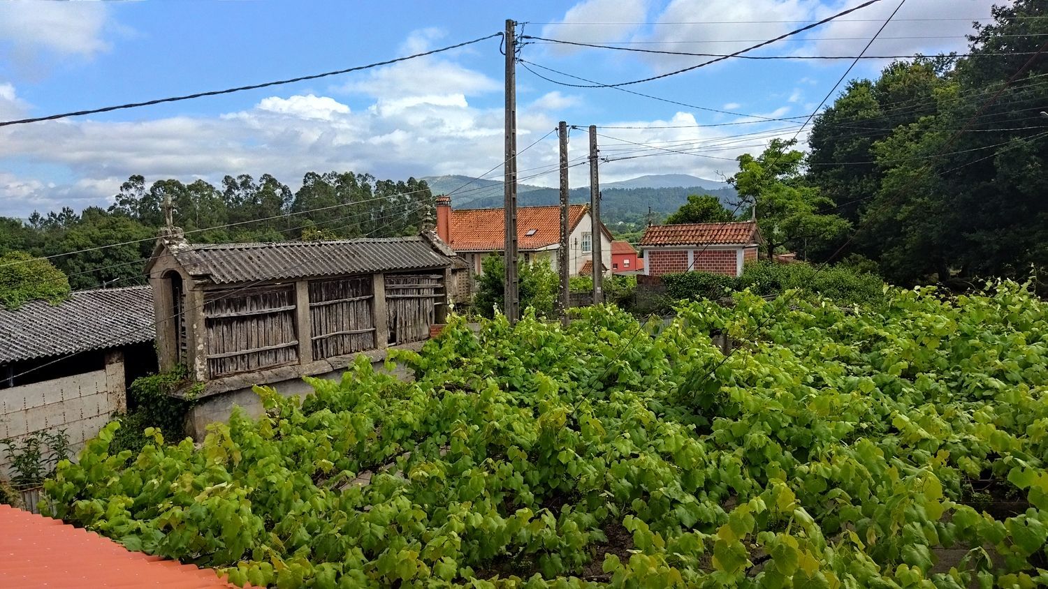 Casa de pueblo en Calle de Vigo, 115 - Foto 28