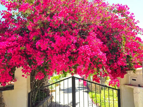 Casa rural en Altea Pueblo, Altea Pueblo - Foto 38