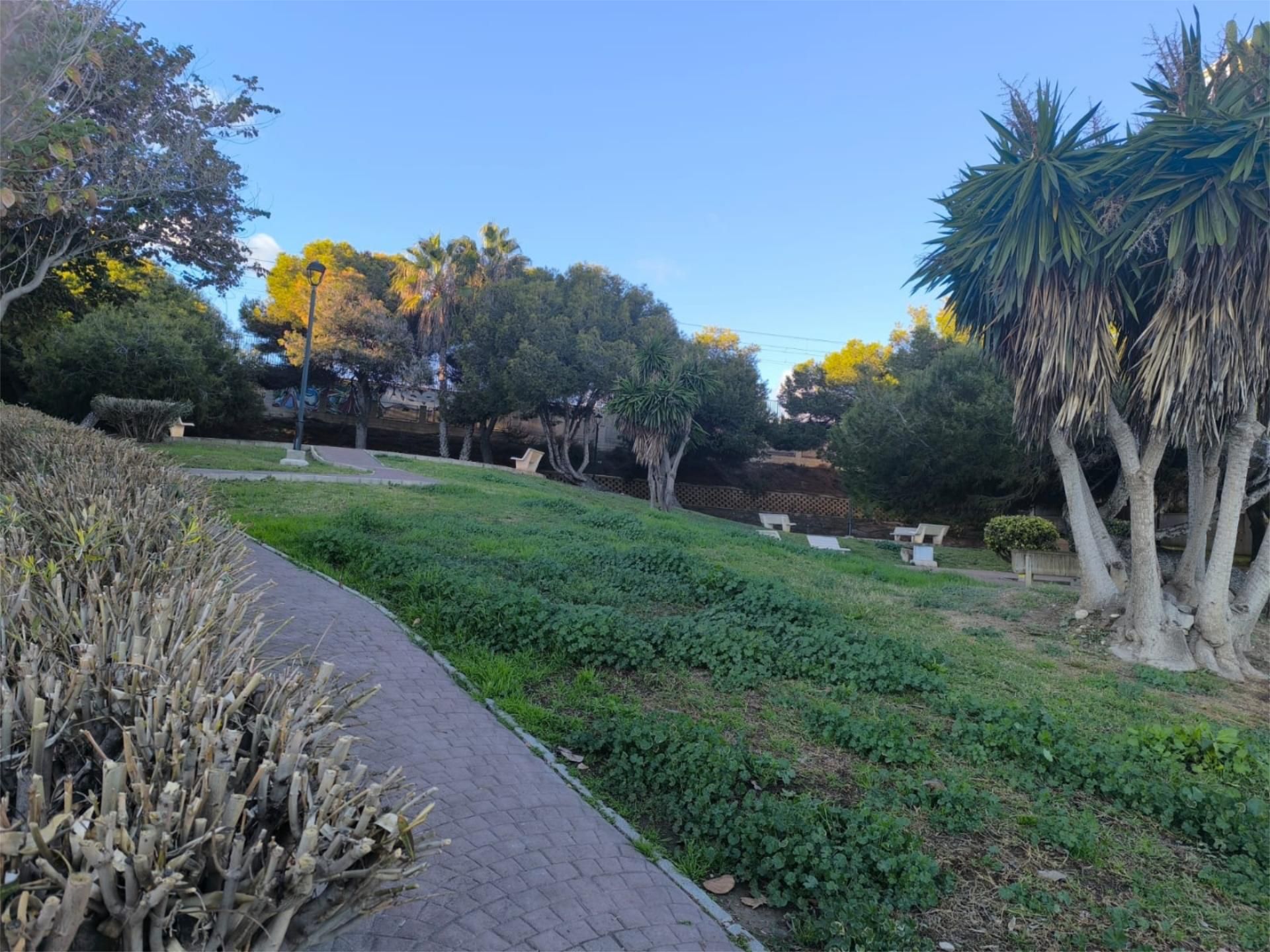 Piso en  Avenida Jaime I el Conquistador 30 - Foto 9