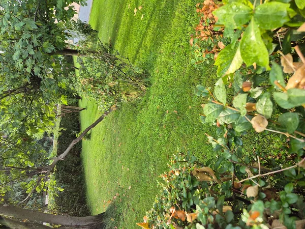 Piso en Barrio Águilas