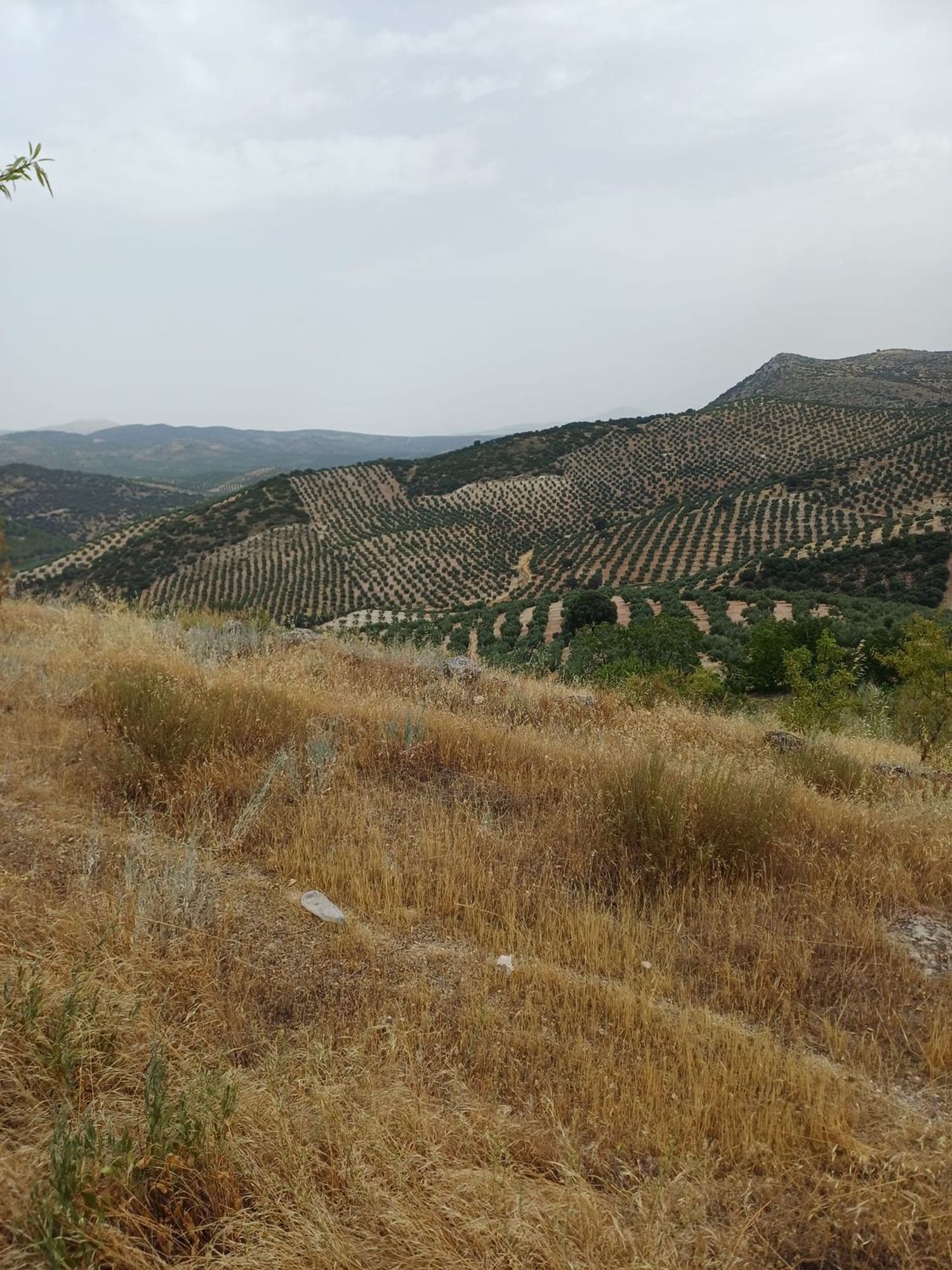 Cortijo en Cortijo en Unnamed Road s/n - Foto 8