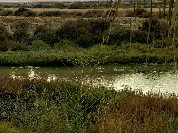 Piso en Los Gallos - La Coquina, Los Gallos - La Coquina - Foto 17
