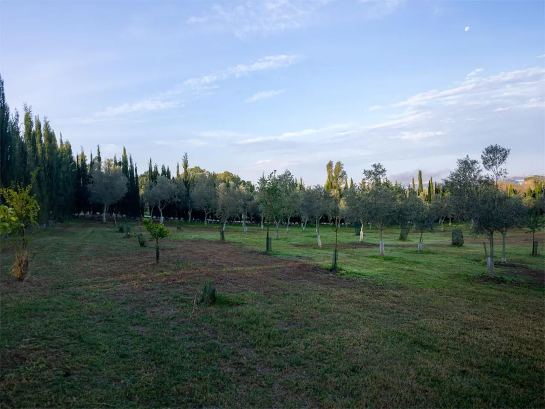 Finca rústica en  Calle Almenara 1 - Foto 6