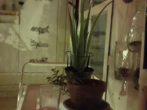 Piso en plaza del Caballo, 1 - Foto 19