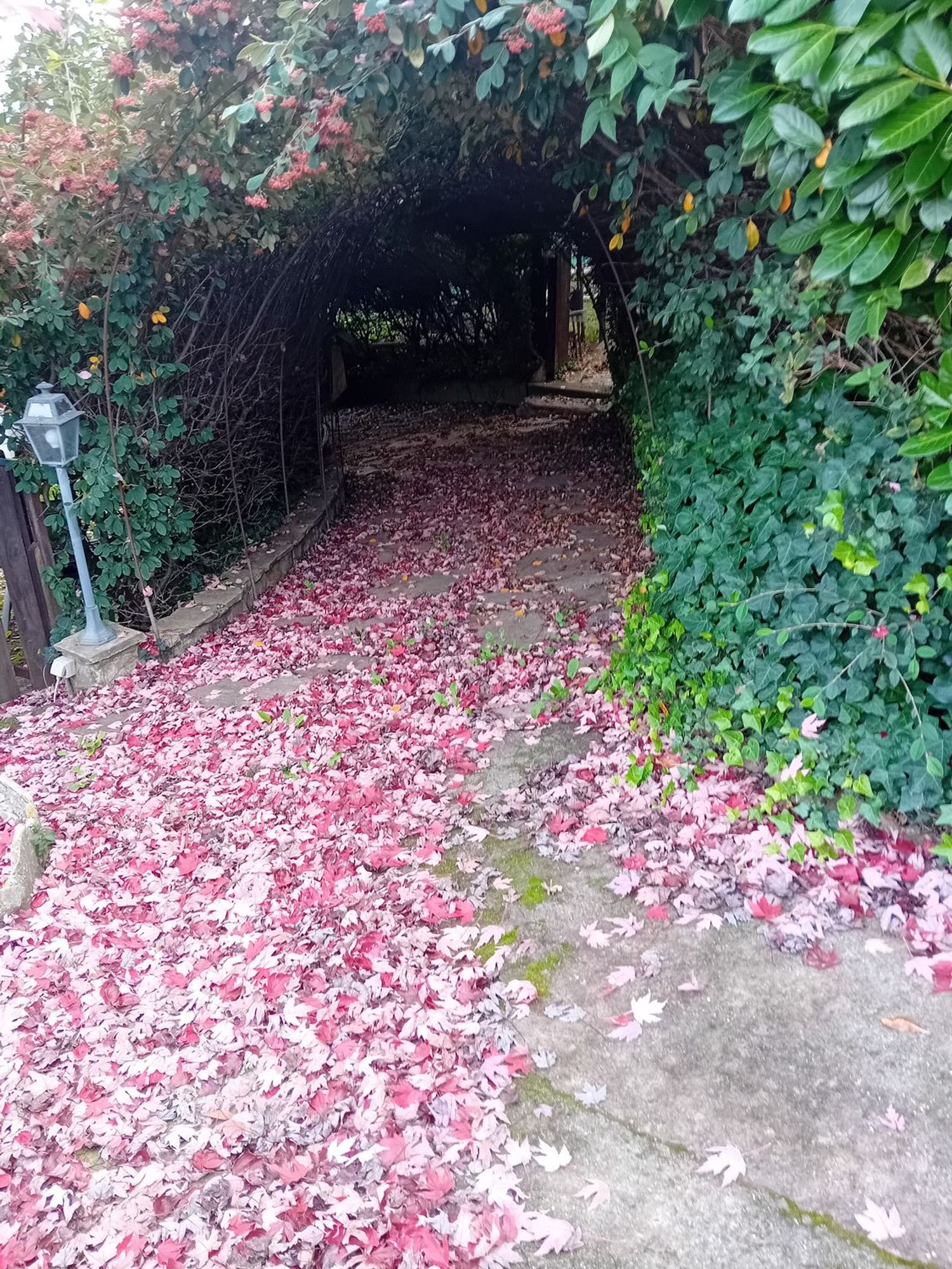Casa de pueblo en Fontal, 5 - Foto 16