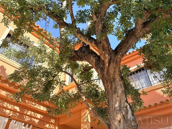 Casa o chalet independiente en Levante, Ensanche-Diputación - Foto 5