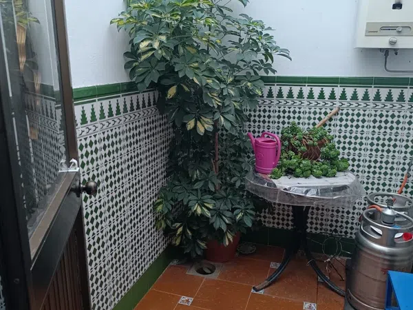 Casa o chalet independiente en Puerta de Sevilla, 15 - Foto 1