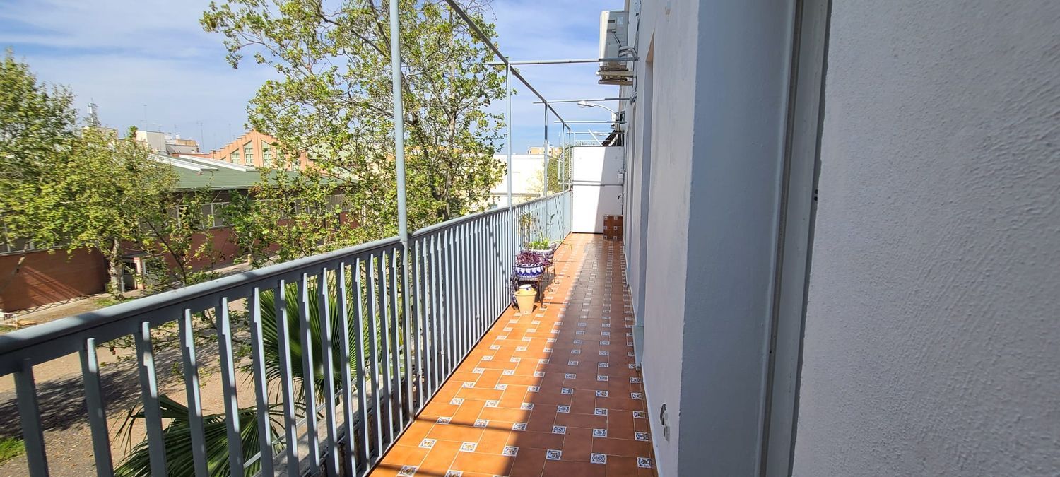 Piso en Ronda de Triana-Patrocinio-Turruñuelo - Foto 5