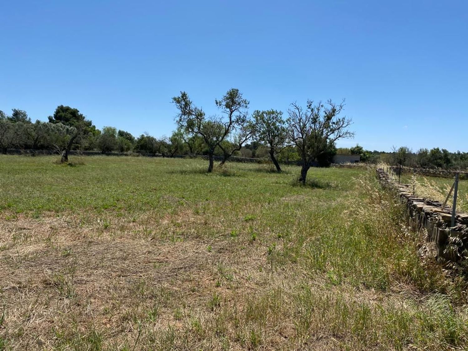 Finca rústica en Lugar Poligono 18, 9 - Foto 9