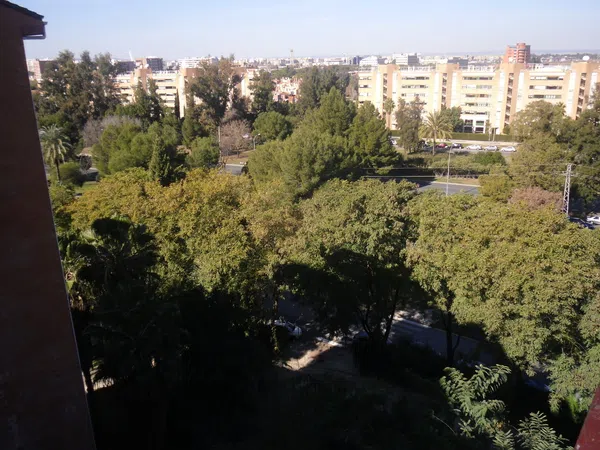 Piso en calle Cueva de la Pileta, 2 - Foto 3