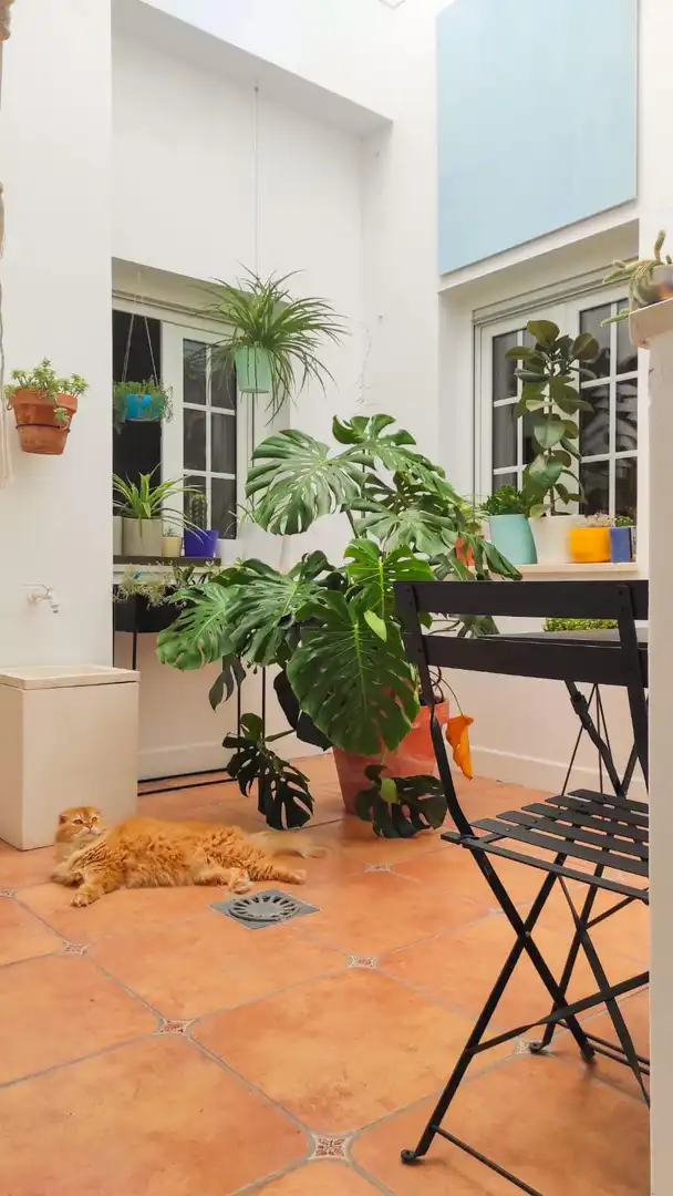 Piso en  Rambla Mártir Santa Eulalia 5 - Foto 3