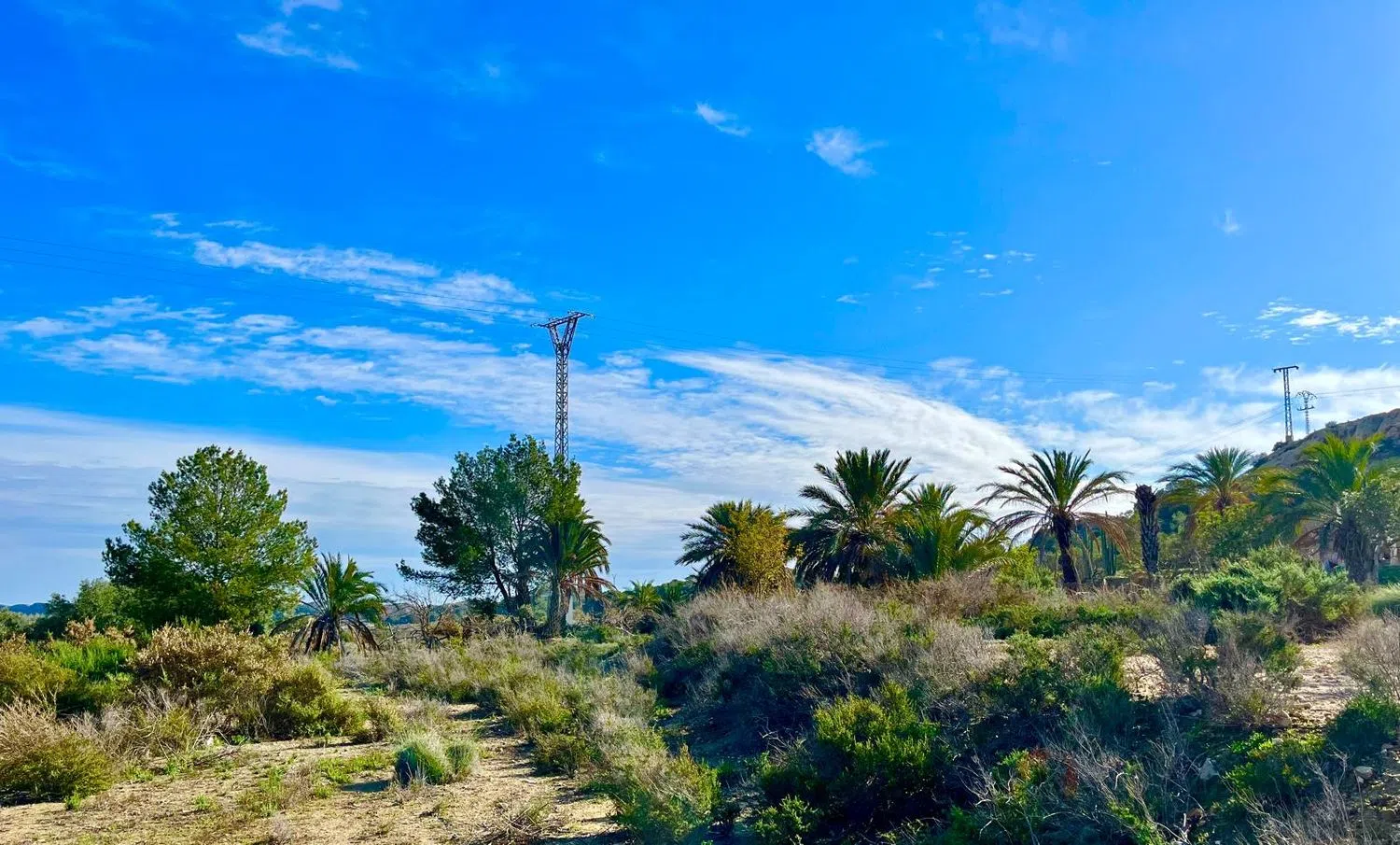 Finca rústica en camino Viejo de Saladas, 2 - Foto 18