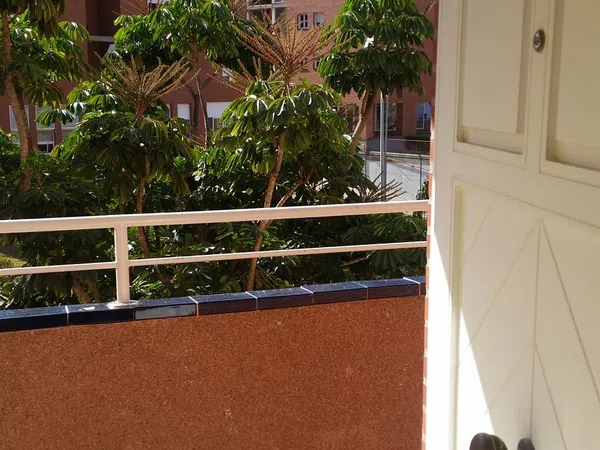 Dúplex en Calle Concejal García Feo, 8 - Foto 32