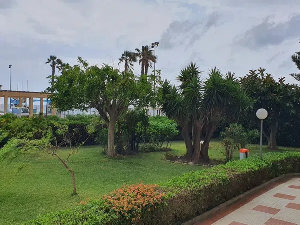 Estudio en avenida de Andalucia, 36 - Foto 6